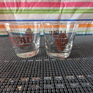 2 Vintage Kauai Resort Drink Glasses